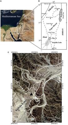 Magnetostratigraphy and Paleoenvironments of the Kuntila Lake Sediments, Southern Israel: Implications for Late Cenozoic Climate Variability at the Northern Fringe of the Saharo-Arabian Desert Belt
